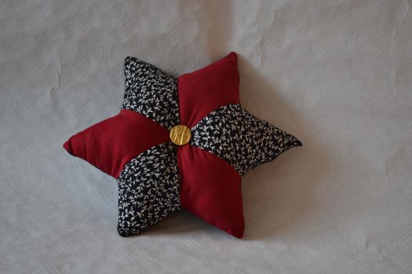 coussin étoile